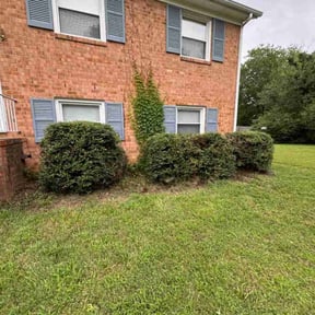 Bush Trimming by Frazier Lawn Care reviewed on November 21, 2025