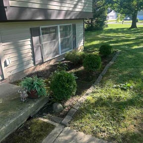 lawn maintenance by Radd Yard Co. reviewed on June 28, 2025