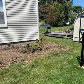 Flower Bed Weeding by Chewys Landscaping reviewed on August 14, 2025