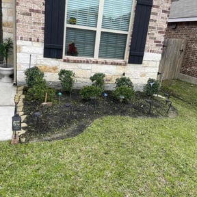 Bush Trimming by Affordable Lawncare reviewed on August 20, 2025