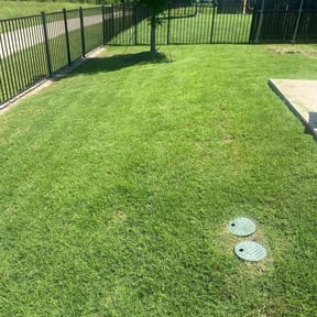 yard care by Reds lawncare and more reviewed on November 24, 2025