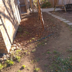 Leaf Removal by Diamond Edge Kuttz reviewed on September 16, 2025