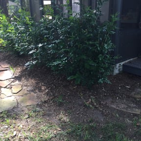 Leaf Removal by The Gatsons Way Lawn Care reviewed on September 13, 2025