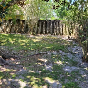 Leaf Removal by DBA Precision Lawn reviewed on September 17, 2025