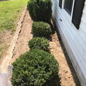 Flower Bed Weeding by Caesar’s Premier Landscaping reviewed on April 24, 2024