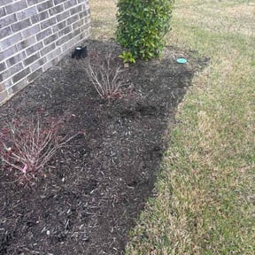 Flower Bed Weeding by Blast Pressure Washing and Lawn Care reviewed on May 5, 2026