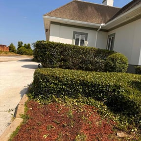 Bush Trimming by Lawn Care Bots reviewed on August 15, 2025