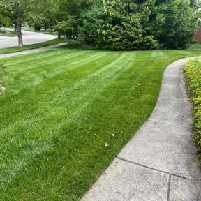 landscaping by A Closer Look Residential Inspections LLC reviewed on December 13, 2025