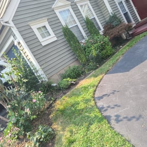 Flower Bed Weeding by CTN lawn care reviewed on August 15, 2025