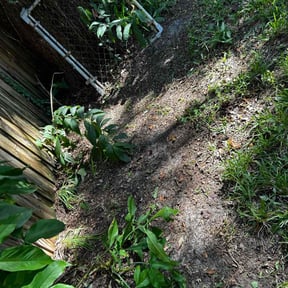 Leaf Removal by Real care property maintenance reviewed on September 16, 2025