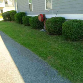 Bush Trimming by Crowder's lawn care reviewed on August 18, 2025