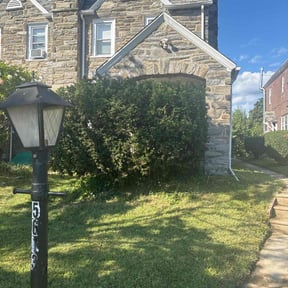 Bush Trimming by Stay clean home improvement reviewed on November 24, 2025