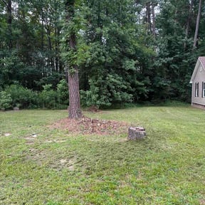 grass cutting by Lenox Landscaping &amp; Irrigation reviewed on May 7, 2024