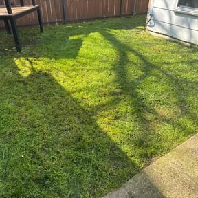 turf care by JUST-ON-POINT Lawn Care Service reviewed on August 19, 2025