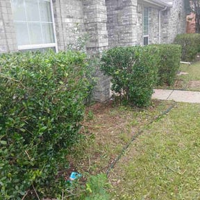 Bush Trimming by G.OT. Lawn Care reviewed on May 22, 2026