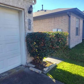 Bush Trimming by Unique Landscaping reviewed on July 3, 2026