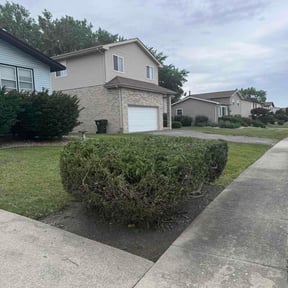 Bush Trimming by 98 Lawn Care reviewed on May 31, 2026