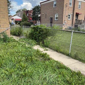 Bush Trimming by Greg&#039;s Landscaping reviewed on October 22, 2025