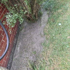 Flower Bed Weeding by Always Green LLC reviewed on November 21, 2025