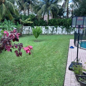 landscaping by JBS inc reviewed on December 18, 2025