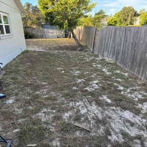 Bush Trimming by Shaggy cuts,INC reviewed on December 7, 2023