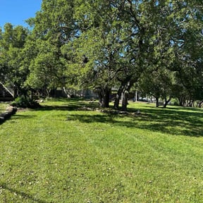 yard maintenance by Lawn Care of New Braunfels reviewed on August 21, 2025