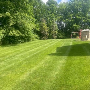 yard care by J and M Lawn Service and More LLC reviewed on November 9, 2021