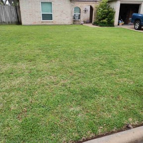 yard care by BCH services reviewed on August 18, 2025