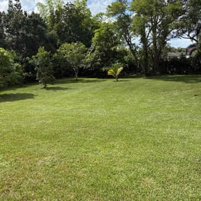 lawn service by T.R. Integrated Services reviewed on August 15, 2025