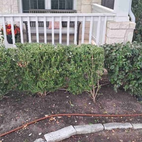 Bush Trimming by Fredy&#039;sLawnmovingservice reviewed on October 18, 2025