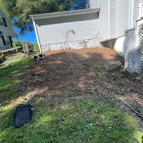 Bush Trimming by Florida Georgia Service's LLC reviewed on November 27, 2025