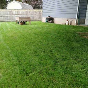 yard care by Chai Vue reviewed on August 18, 2025