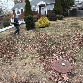 Leaf Removal by National preservation and REO services reviewed on November 19, 2025