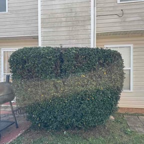 Bush Trimming by Dunn's Lawn Services reviewed on March 23, 2026