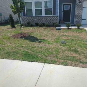 Flower Bed Weeding by The Yard Man reviewed on June 28, 2026