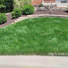 grass maintenance by Matt Webb reviewed on August 15, 2025