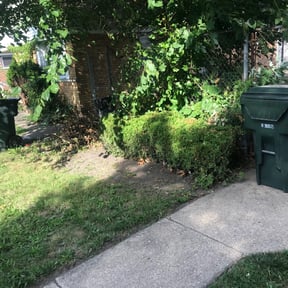 Bush Trimming by KLS Lawn reviewed on August 21, 2025