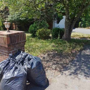 Leaf Removal by D&amp;G Lawn Care/Pressure Washing reviewed on June 26, 2026