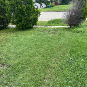 Leaf Removal by GP Services reviewed on June 16, 2026