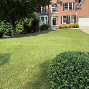 yard service by Loyalty Repairs reviewed on August 17, 2025