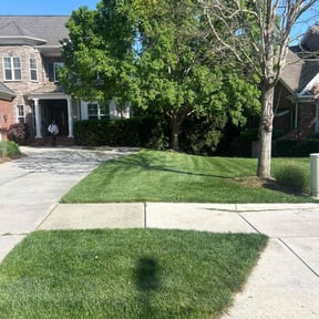 yard work by Scotton landscaping reviewed on August 15, 2025