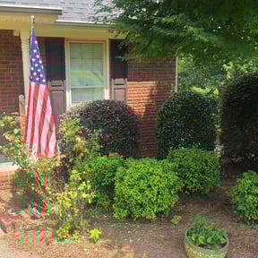 Bush Trimming by Howardpaytonllc reviewed on August 18, 2025