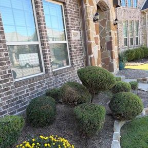 Bush Trimming by Croc Landscape Corp reviewed on March 5, 2026