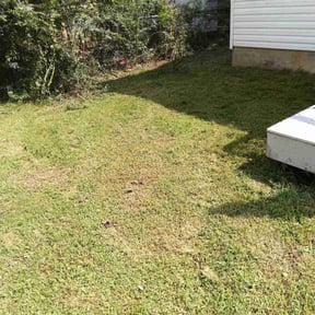 Bush Trimming by Escobar Landscaping reviewed on August 15, 2025