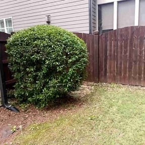 Bush Trimming by Landscaping by Jay reviewed on August 16, 2025