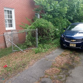 Bush Trimming by Wayne's landscaping reviewed on August 15, 2025