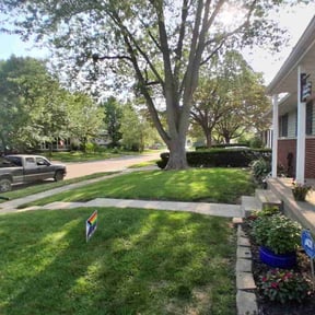 landscaping by Dave's handyman services reviewed on August 19, 2025