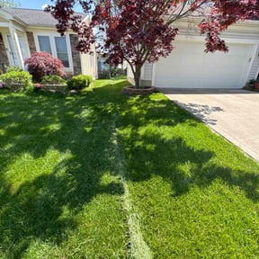 yard service by Yard Design reviewed on December 30, 2025