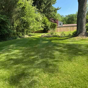 landscaping by Robert Carreras Lawn Care reviewed on August 16, 2025