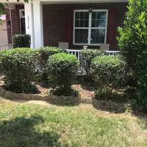 Bush Trimming by Ed Finegan Lawn Care reviewed on August 19, 2025